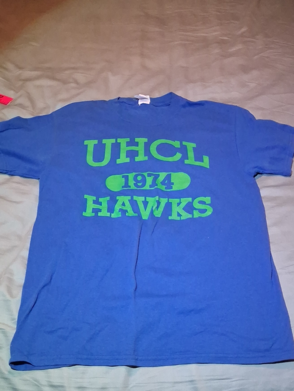 Gildan Blue T-Shirt with Green UHCL Hawks 1974 Graphic